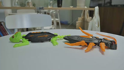 Climbing Chameleon Remote Control Lizard™